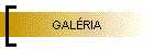 GALRIA