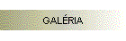 GALRIA