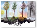 4 seasons