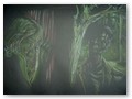 DSCF5211