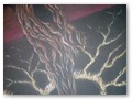 DSCF5216