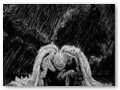 judgement (2)