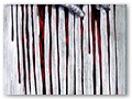 Self_Expression_by_tomhegedus