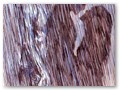 Untitled-1(2)