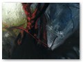 Untitled-13