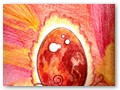 Untitled-1 (1)