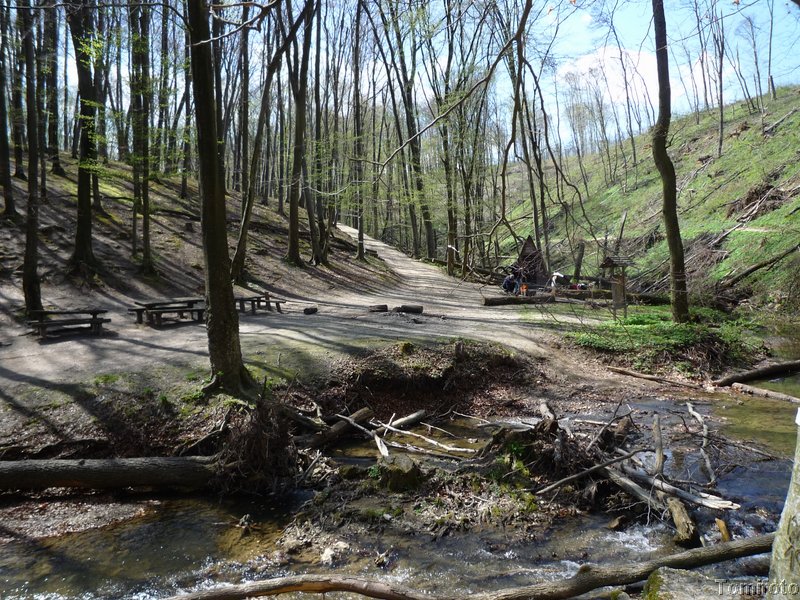 P1090276.JPG