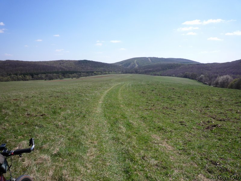 P1090280.JPG