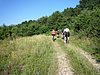 P1060060.JPG
