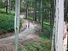 P1060084.JPG