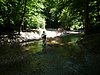 P1080191.JPG