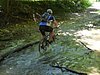 P1080197.jpg