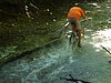P1080200.jpg