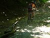 P1080201.jpg