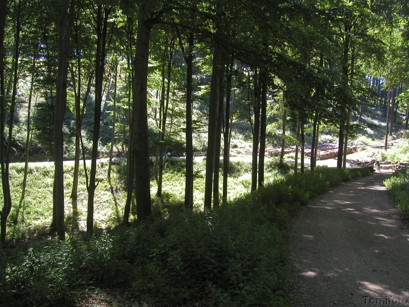 P7140028.JPG
