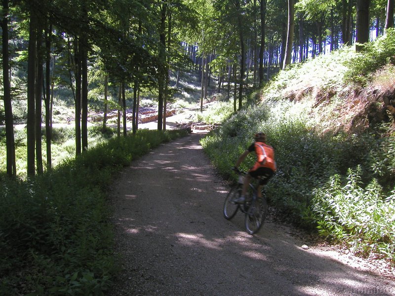 P7140029.JPG