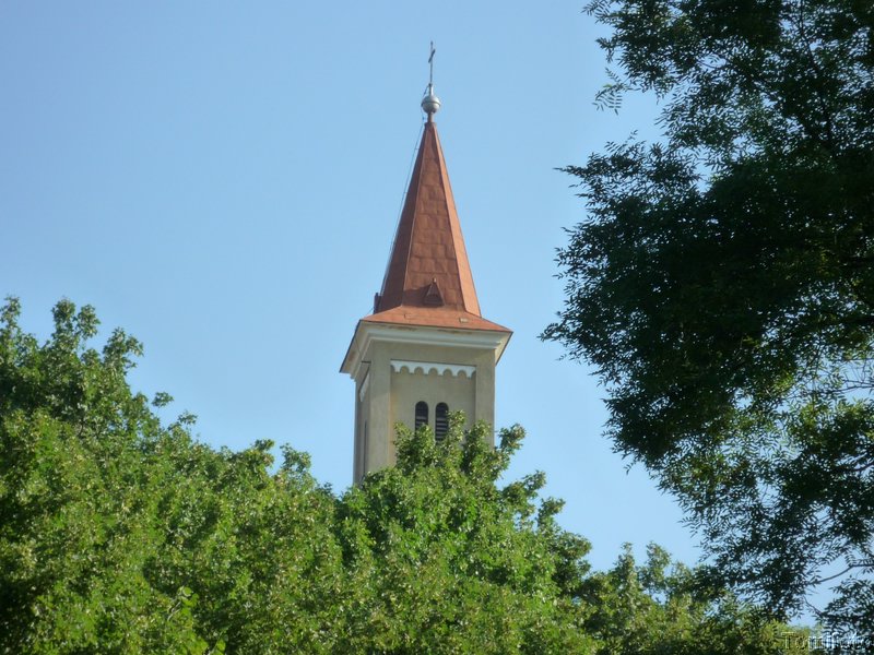 P1010627.jpg