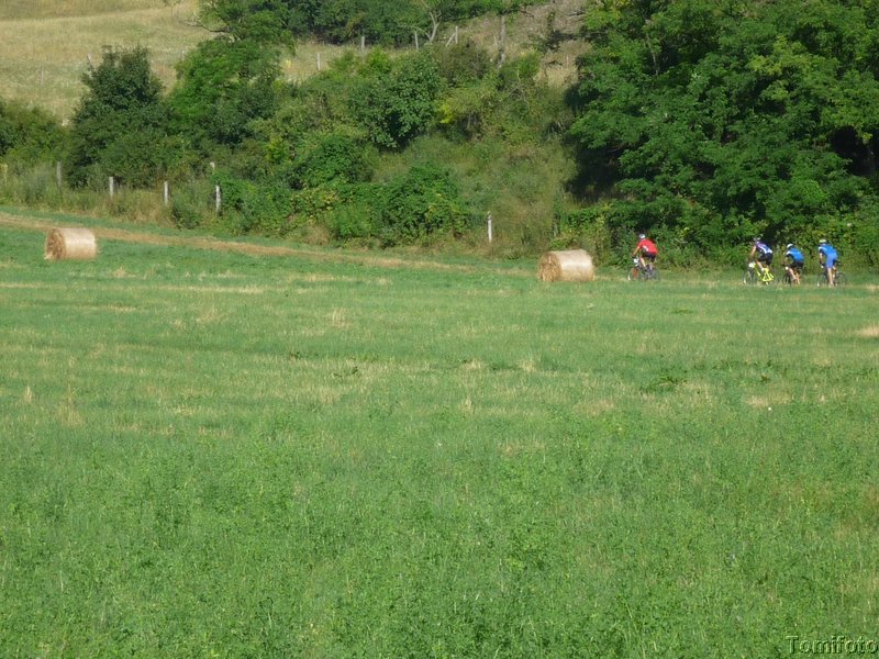 P1010635.jpg