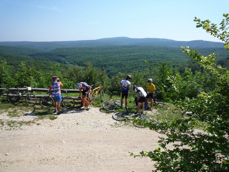 P1010729.JPG