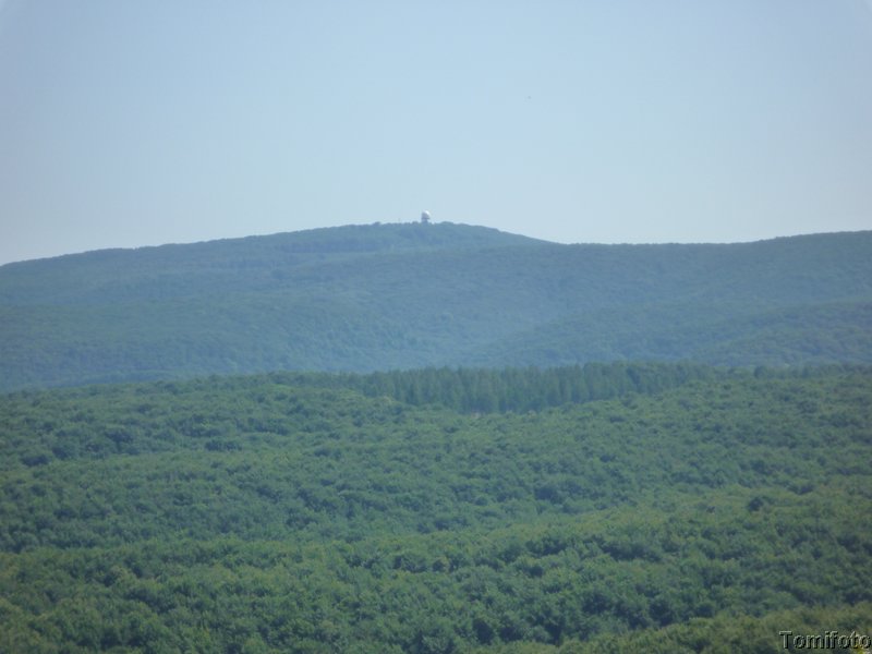 P1010734.JPG