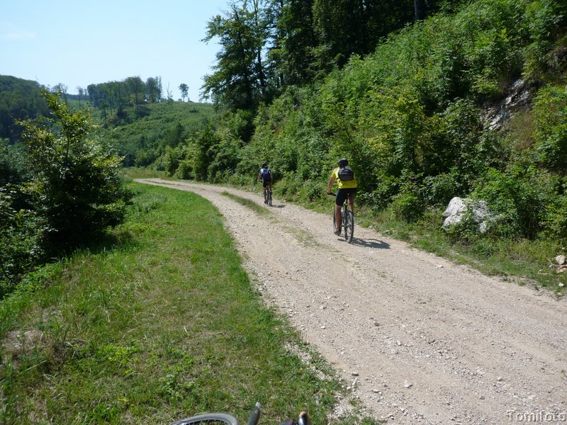 P1010765.JPG