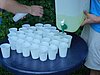 P1010770.JPG