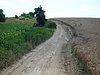 P1010906.JPG