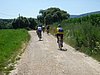 P1010915.JPG