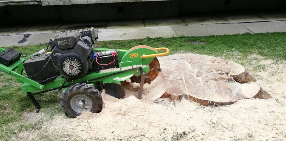 tuskó