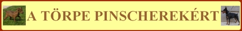 A TRPE PINSCHEREKRT