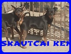Bcskautcai Uzsgyi
