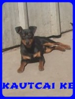 Bcskautcai Uzsgyi