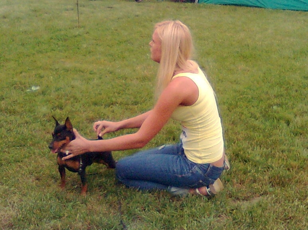 Debrecen jszakai CAC trpe pinscher kp 1