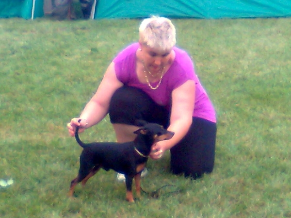 Debrecen jszakai CAC trpe pinscher kp 2