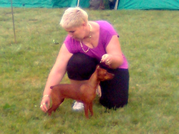 Debrecen jszakai CAC trpe pinscher kp 5