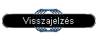 Visszajelzs