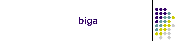 biga
