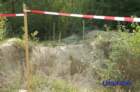 dsc_0012small_small.jpg