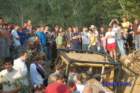 dsc_1393small_small.jpg