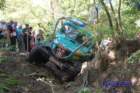 dsc_1180small_small.jpg