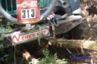 dsc_1185small_small.jpg