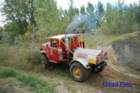dsc_4001small_small.jpg