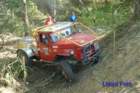 dsc_4179small_small.jpg