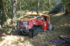 dsc_4184small_small.jpg