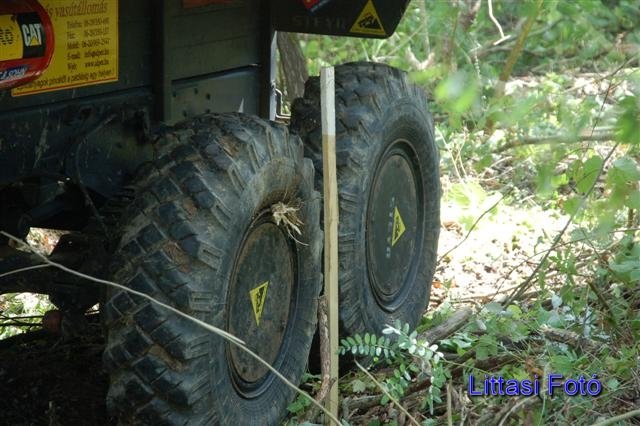 dsc_5145small.jpg