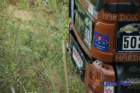 dsc_0020small_small.jpg