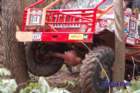 dsc_0025small_small.jpg