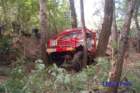dsc_0028small_small.jpg