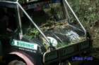 dsc_0047small_small.jpg