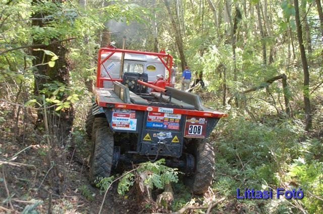 dsc_0137small.jpg